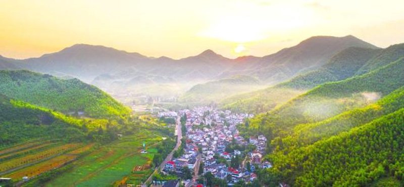 安吉网站建设